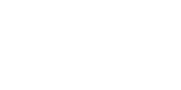 Verifex-logo